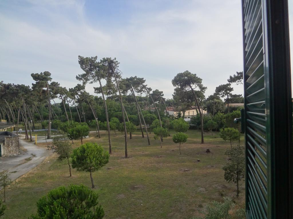 La Pineta Apartment 维亚雷焦 外观 照片